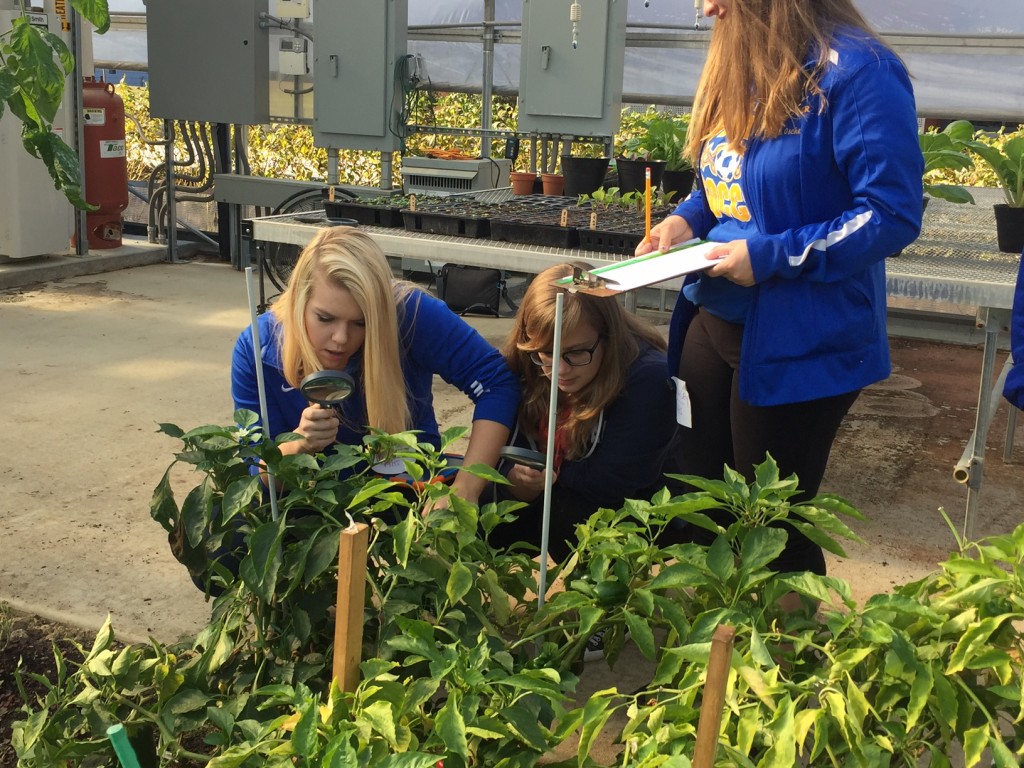 Hampton High School students look for and document evidence of pests in the solar high tunnel at Eden Hall.