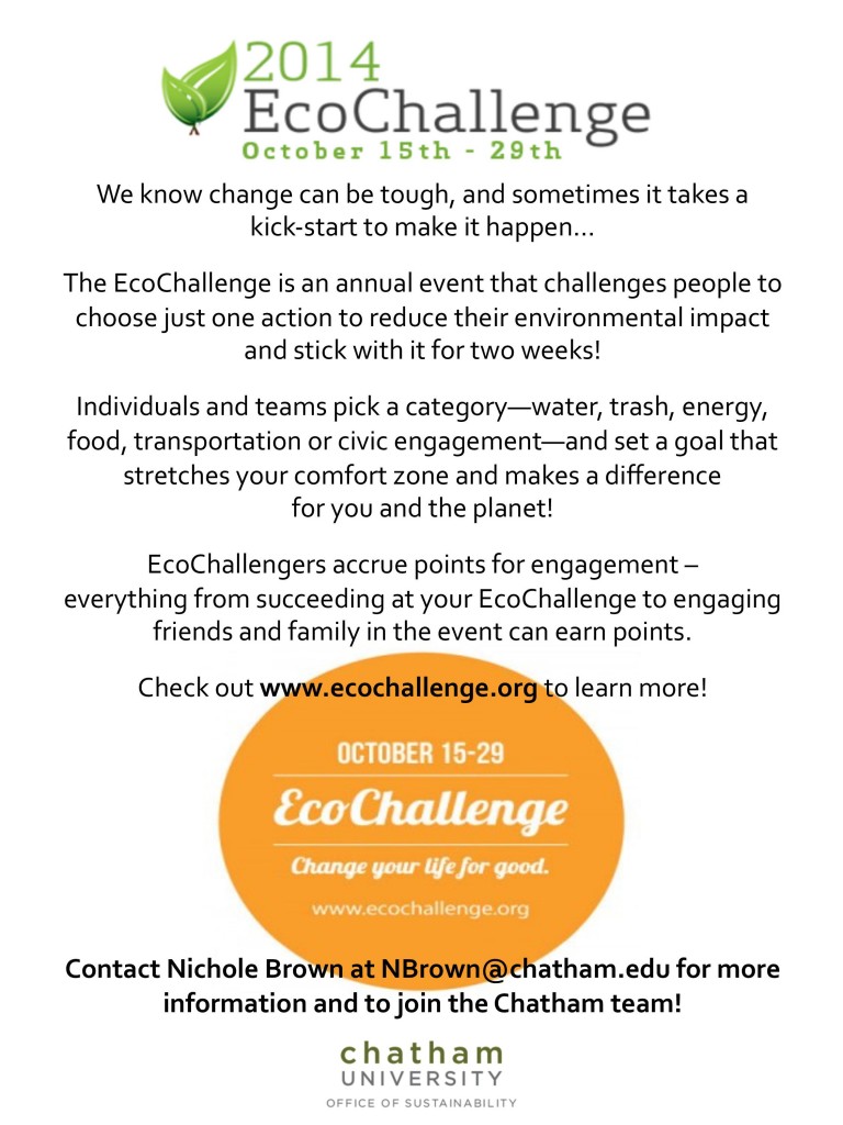 eco challenge flyer-page-001