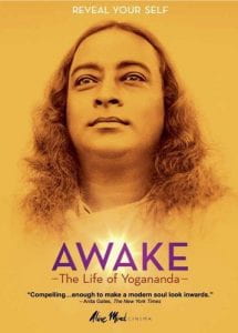 Film poster for Awake