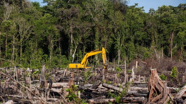 a bulldozer causing deforestation in a forest.
