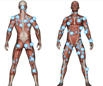 ThinkLink example of the body